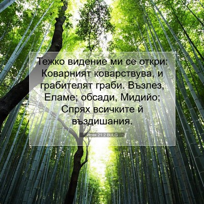 Picture 07 - Исая 21:2 BULG - Тежко видение ми се откри: - Bible Verse Picture