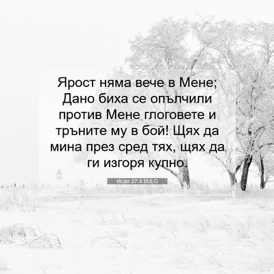 Picture 07 - Исая 27:4 BULG - Ярост няма вече в Мене; - Bible Verse Picture
