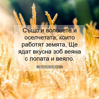 Picture 07 - Исая 30:24 BULG - Също и воловете и - Bible Verse Picture