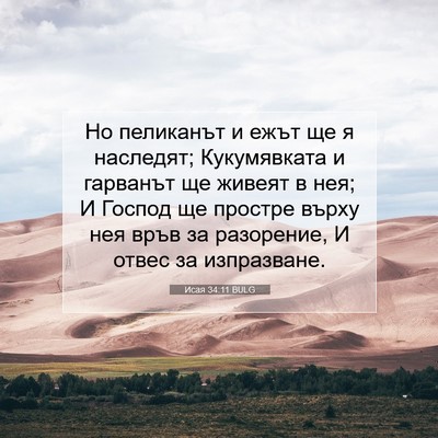 Picture 07 - Исая 34:11 BULG - Но пеликанът и ежът ще я - Bible Verse Picture