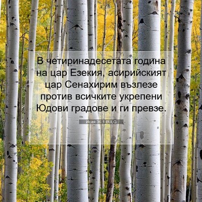 Picture 07 - Исая 36:1 BULG - В четиринадесетата година - Bible Verse Picture