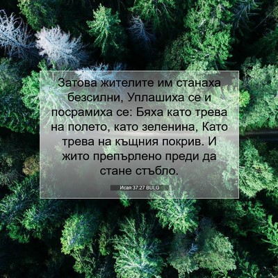 Picture 07 - Исая 37:27 BULG - Затова жителите им станаха - Bible Verse Picture