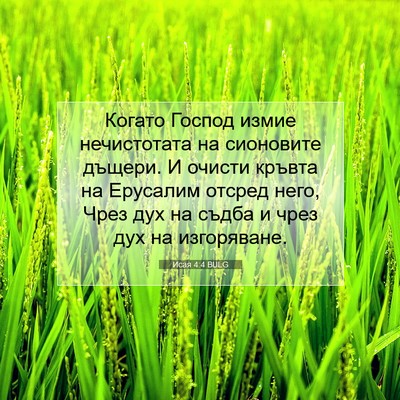 Picture 07 - Исая 4:4 BULG - Когато Господ измие - Bible Verse Picture