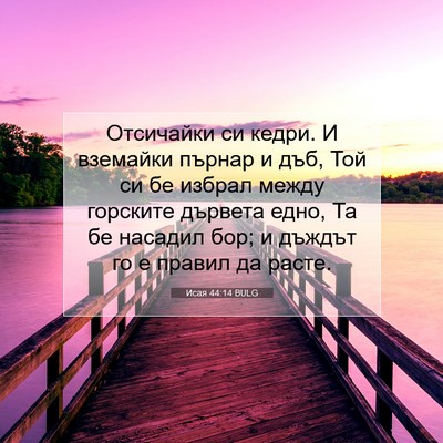 Picture 07 - Исая 44:14 BULG - Отсичайки си кедри. И - Bible Verse Picture