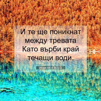 Picture 07 - Исая 44:4 BULG - И те ще поникнат между - Bible Verse Picture