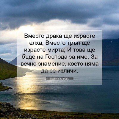 Picture 07 - Исая 55:13 BULG - Вместо драка ще израсте - Bible Verse Picture