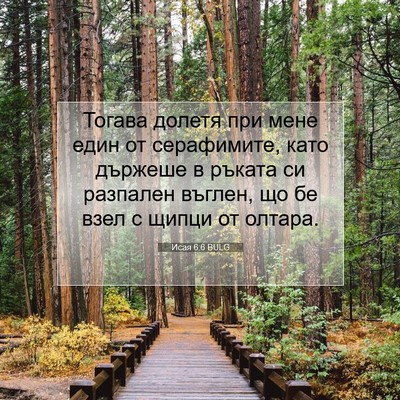 Picture 07 - Исая 6:6 BULG - Тогава долетя при мене - Bible Verse Picture