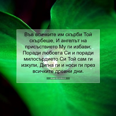 Picture 07 - Исая 63:9 BULG - Във всичките им скърби Той - Bible Verse Picture