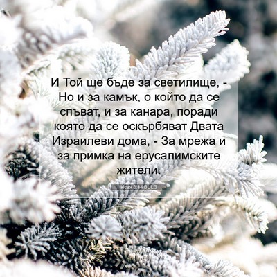 Picture 07 - Исая 8:14 BULG - И Той ще бъде за светилище, - Bible Verse Picture