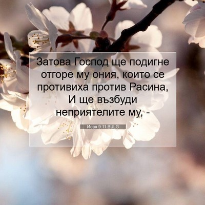 Picture 07 - Исая 9:11 BULG - Затова Господ ще подигне - Bible Verse Picture