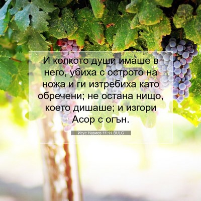 Picture 07 - Исус Навиев 11:11 BULG - И колкото души имаше в - Bible Verse Picture