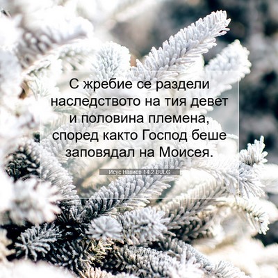 Picture 07 - Исус Навиев 14:2 BULG - С жребие се раздели - Bible Verse Picture