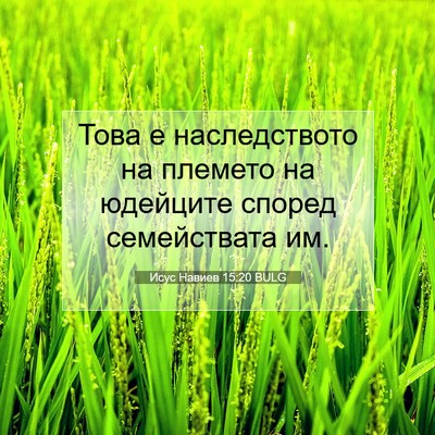Picture 07 - Исус Навиев 15:20 BULG - Това е наследството на - Bible Verse Picture