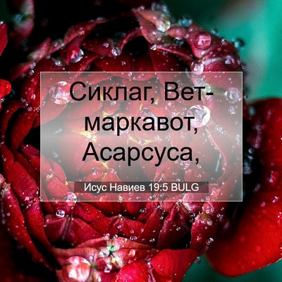 Picture 07 - Исус Навиев 19:5 BULG - Сиклаг, Вет-маркавот, - Bible Verse Picture