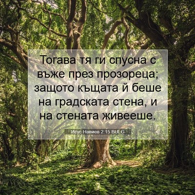 Picture 07 - Исус Навиев 2:15 BULG - Тогава тя ги спусна с въже - Bible Verse Picture