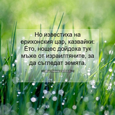 Picture 07 - Исус Навиев 2:2 BULG - Но известиха на ерихонския - Bible Verse Picture