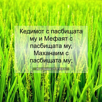 Picture 07 - Исус Навиев 21:37 BULG - Кедимот с пасбищата му и - Bible Verse Picture
