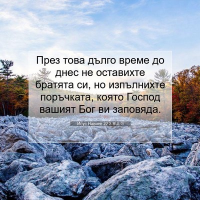 Picture 07 - Исус Навиев 22:3 BULG - През това дълго време до - Bible Verse Picture