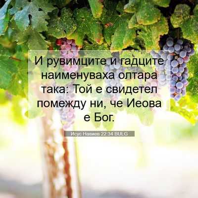 Picture 07 - Исус Навиев 22:34 BULG - И рувимците и гадците - Bible Verse Picture