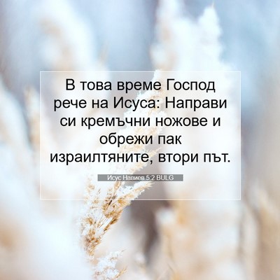 Picture 07 - Исус Навиев 5:2 BULG - В това време Господ рече на - Bible Verse Picture