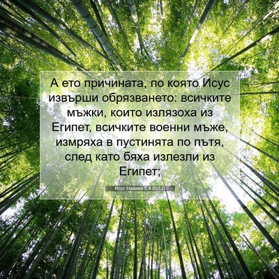 Picture 07 - Исус Навиев 5:4 BULG - А ето причината, по която - Bible Verse Picture