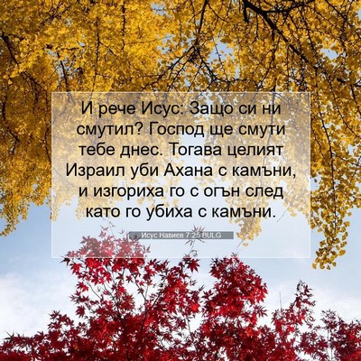 Picture 07 - Исус Навиев 7:25 BULG - И рече Исус: Защо си ни - Bible Verse Picture