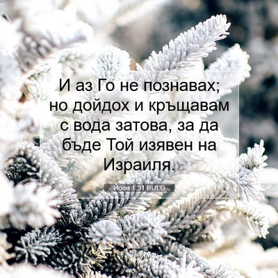 Picture 07 - Йоан 1:31 BULG - И аз Го не познавах; но - Bible Verse Picture