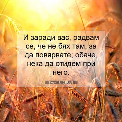 Picture 07 - Йоан 11:15 BULG - И заради вас, радвам се, че - Bible Verse Picture