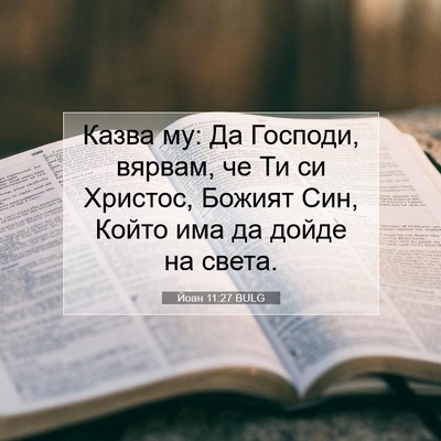 Picture 07 - Йоан 11:27 BULG - Казва му: Да Господи, - Bible Verse Picture