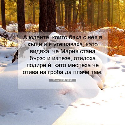 Picture 07 - Йоан 11:31 BULG - А юдеите, които бяха с нея в - Bible Verse Picture