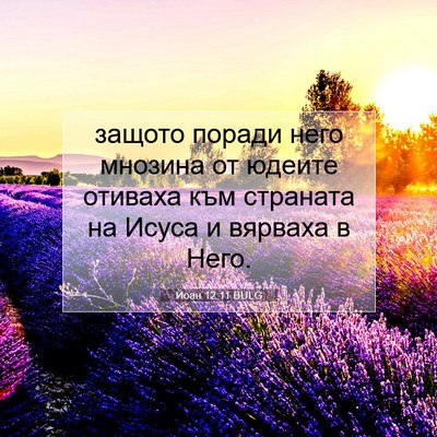 Picture 07 - Йоан 12:11 BULG - защото поради него мнозина - Bible Verse Picture