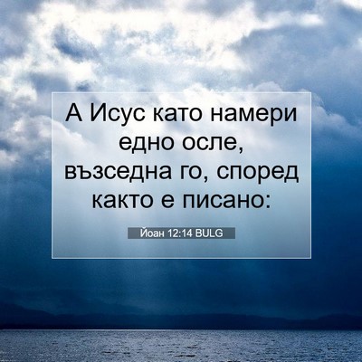 Picture 07 - Йоан 12:14 BULG - А Исус като намери едно - Bible Verse Picture
