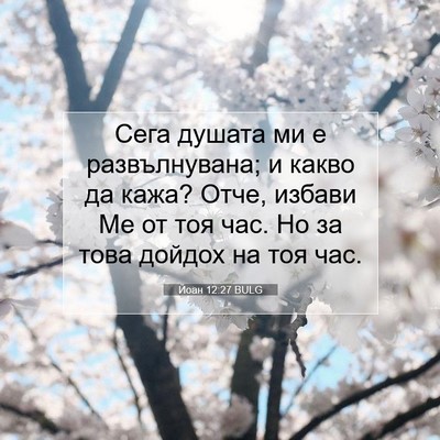 Picture 07 - Йоан 12:27 BULG - Сега душата ми е - Bible Verse Picture