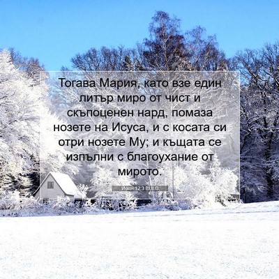 Picture 07 - Йоан 12:3 BULG - Тогава Мария, като взе един - Bible Verse Picture