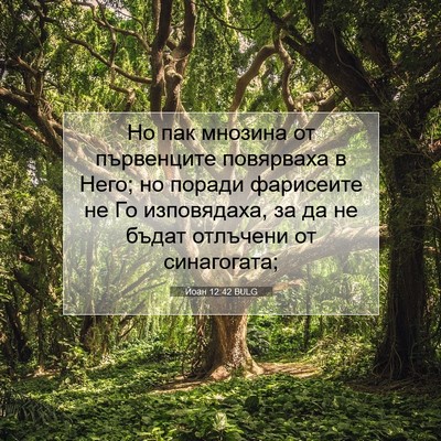 Picture 07 - Йоан 12:42 BULG - Но пак мнозина от - Bible Verse Picture