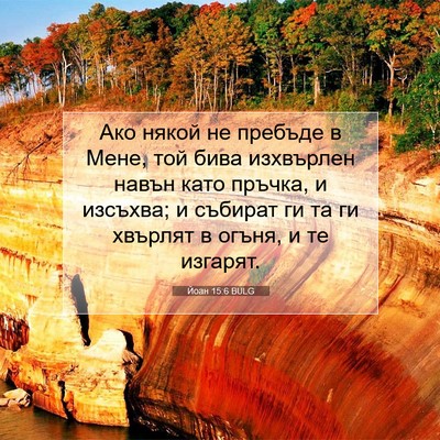 Picture 07 - Йоан 15:6 BULG - Ако някой не пребъде в - Bible Verse Picture