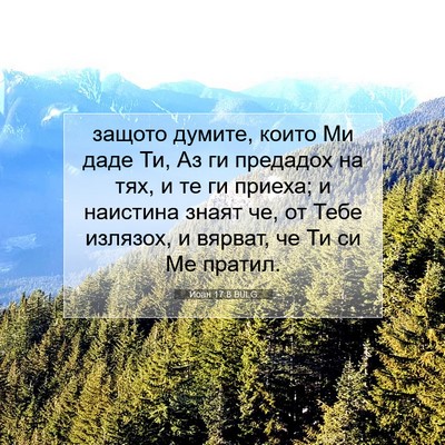 Picture 07 - Йоан 17:8 BULG - защото думите, които Ми - Bible Verse Picture