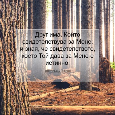 Picture 07 - Йоан 5:32 BULG - Друг има, Който - Bible Verse Picture