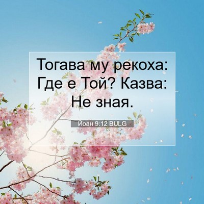 Picture 07 - Йоан 9:12 BULG - Тогава му рекоха: Где е Той? - Bible Verse Picture