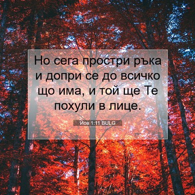 Picture 07 - Йов 1:11 BULG - Но сега простри ръка и - Bible Verse Picture