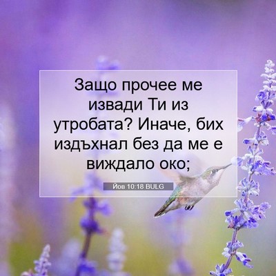 Picture 07 - Йов 10:18 BULG - Защо прочее ме извади Ти из - Bible Verse Picture