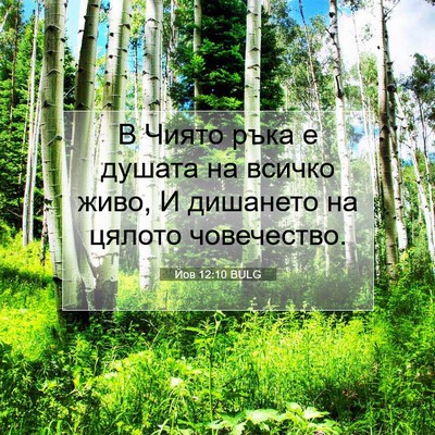 Picture 07 - Йов 12:10 BULG - В Чиято ръка е душата на - Bible Verse Picture