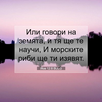 Picture 07 - Йов 12:8 BULG - Или говори на земята, и тя - Bible Verse Picture
