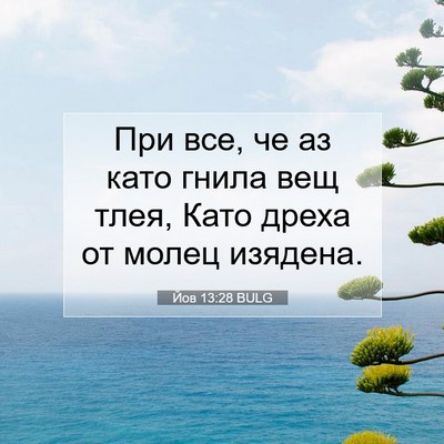 Picture 07 - Йов 13:28 BULG - При все, че аз като гнила - Bible Verse Picture