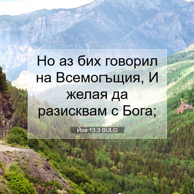 Picture 07 - Йов 13:3 BULG - Но аз бих говорил на - Bible Verse Picture