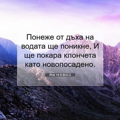Picture 07 - Йов 14:9 BULG - Понеже от дъха на водата ще - Bible Verse Picture