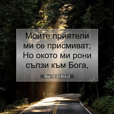 Picture 07 - Йов 16:20 BULG - Моите приятели ми се - Bible Verse Picture
