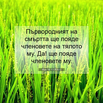 Picture 07 - Йов 18:13 BULG - Първородният на смъртта ще - Bible Verse Picture