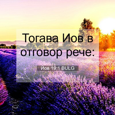 Picture 07 - Йов 19:1 BULG - Тогава Иов в отговор - Bible Verse Picture