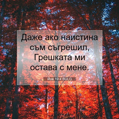 Picture 07 - Йов 19:4 BULG - Даже ако наистина съм - Bible Verse Picture